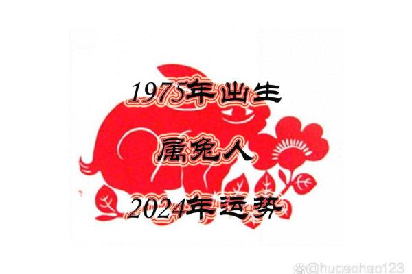 1975年属兔男今年运气如何 1975年兔男今年财运如何 1975年属兔男今年运气如何 1975年兔男今年财运如何