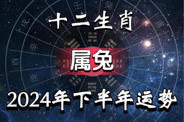 兔人在2025年的全年运势_75兔人2025年运势运程 兔人在2025年的全年运势_75兔人2025年运势运程