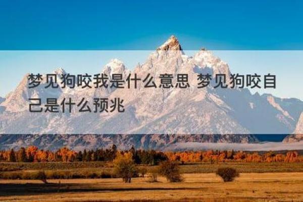 梦见狗的七大预兆