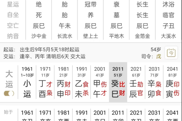 免费测生辰八字详解精准解析你的命运密码 免费测生辰八字详解精准解析你的命运密码