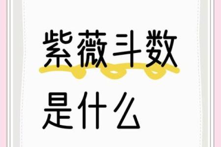 蔡明宏钦天紫微斗数视频 蔡明宏钦天紫微斗数视频揭秘命理玄机