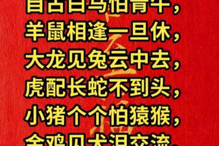 同甘共苦打一个生肖