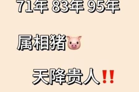 属猪2025年戴啥好_属兔2025年佩戴什么好