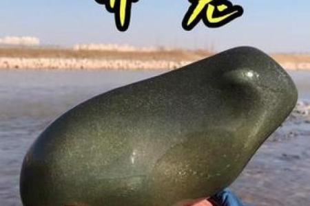 点石成金打一最佳生肖