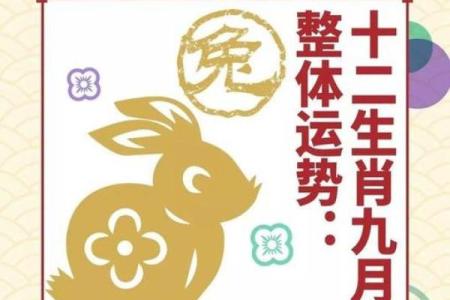 2021年属兔人的全年运势