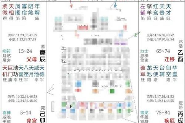 2025年3月28日寅时女命紫微斗数全解盘 2025年3月28日寅时女命紫微斗数全解盘