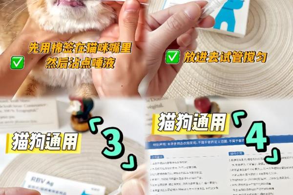 梦见被猫抓伤是什么预兆 梦见被猫抓伤是什么预兆