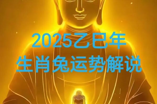 2025年兔人运势_2025年兔人运势解析财运事业爱情全预测 2025年兔人运势_2025年兔人运势解析财运事业爱情全预测