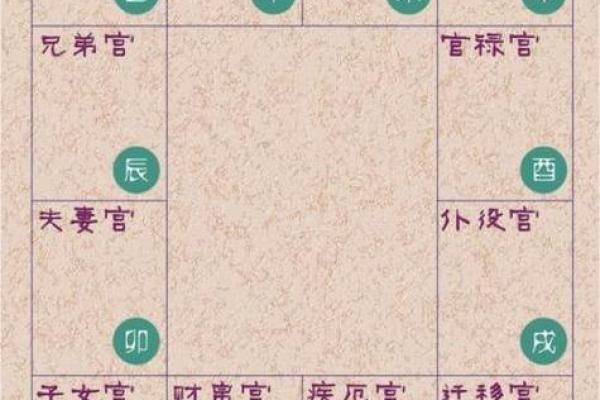 2025年3月4日丑时女命紫微斗数全解盘 2025年3月4日丑时女命紫微斗数全解盘