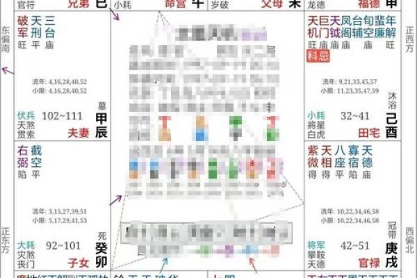 2025年2月20日寅时男命紫微斗数全解盘