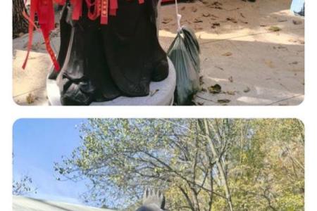 五指山上人中人是什么生肖