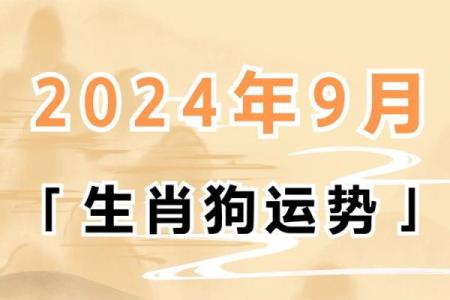 2025生肖狗运势 属狗2025年每月运势及运程