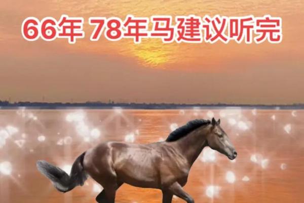 1966属马的2024虚岁多大 1966年属马人2024年虚岁多大年龄计算与运势解析 1966属马的2024虚岁多大 1966年属马人2024年虚岁多大年龄计算与运势解析