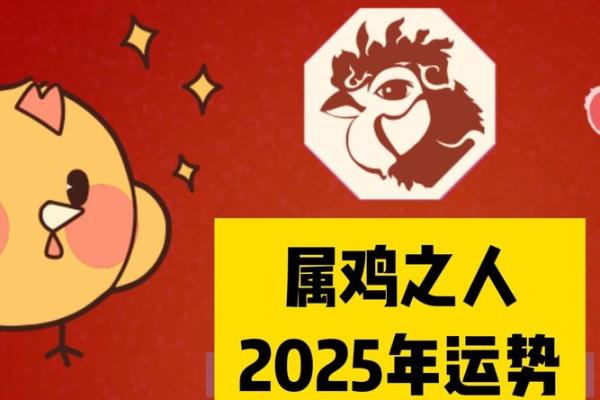 属鸡运势2025年运程 2025年属鸡运势详解全年运程大揭秘