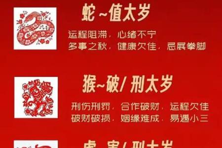 五体投地是什么生肖