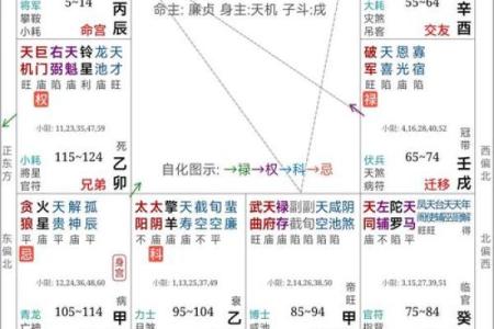 夫妻宫太阴化权_夫妻宫太阴化权是什么意思