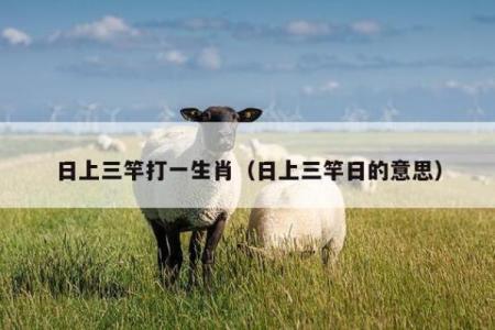 羽扇丝巾打一生肖