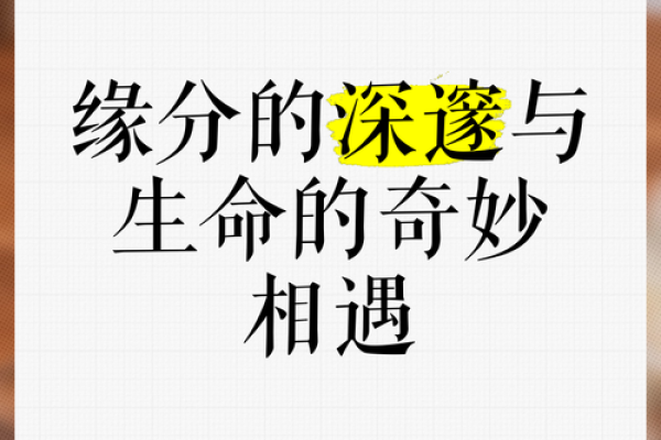 缘分吧 缘分吧揭秘命运中的奇妙相遇 缘分吧 缘分吧揭秘命运中的奇妙相遇
