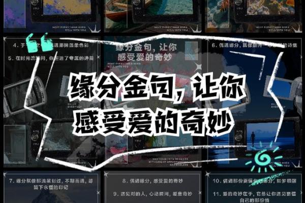 缘分吧 缘分吧揭秘命运中的奇妙相遇 缘分吧 缘分吧揭秘命运中的奇妙相遇