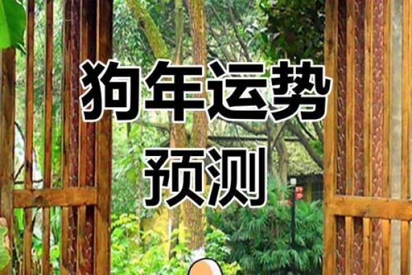 1982年属狗女2025年运势及运程_1982年属狗女2025年运势及运程每月运程