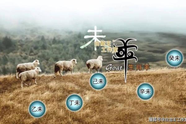 79年羊在2025年的全年运势 2025年79年属羊人全年运势解析吉凶预测与运势指南 79年羊在2025年的全年运势 2025年79年属羊人全年运势解析吉凶预测与运势指南