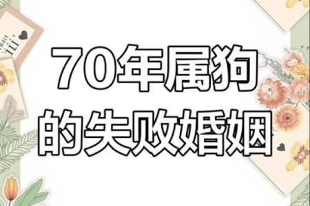 属狗的人命中有两段婚姻_属狗的人命中有两段婚姻真的也