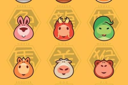 家家有的动物是什么生肖