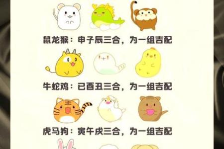 三心二意打一正确生肖