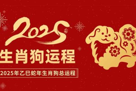 82年属狗2025全年运势_2025年属狗全年运势详解82年出生者必看