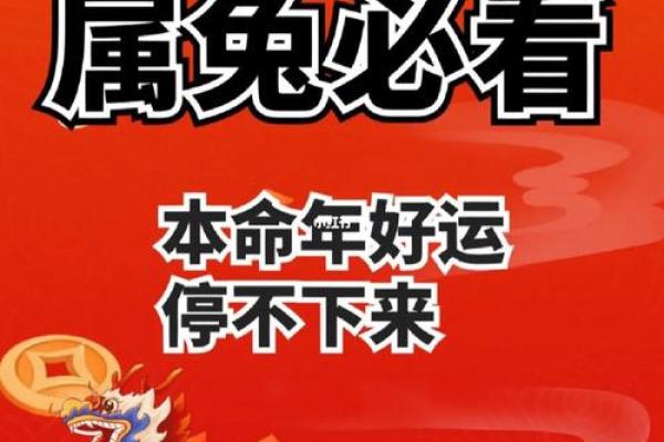 23年的兔是什么命 五行属什么_2023年属兔五行属什么揭秘23年兔年命运与五行属性