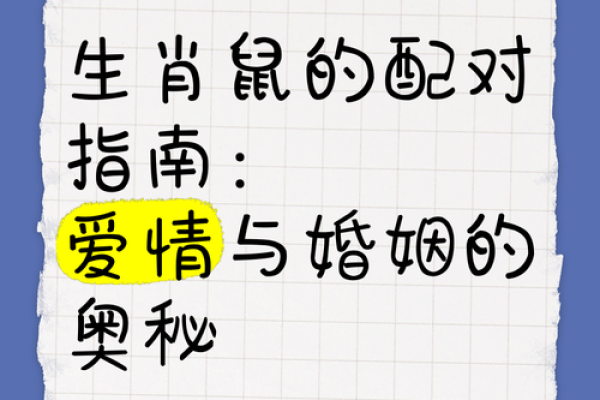 95猪与96鼠是绝命婚姻 95猪与96鼠是绝命婚姻