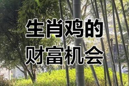 属鸡今日财运与运势解析好运连连还是挑战重重