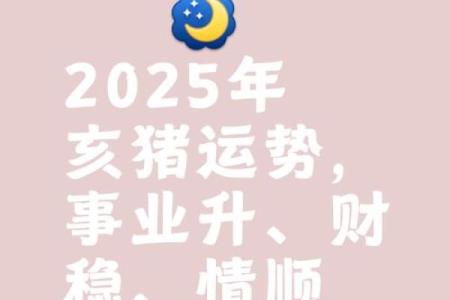 属猪的2025年的运势_2025年属猪人运势详解财运事业爱情全面解析