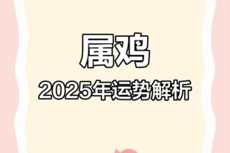 2025年1月属鸡人运势解析事业财运双丰收