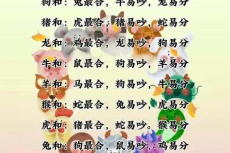 属狗男和属虎女婚姻相配吗解析生肖配对奥秘