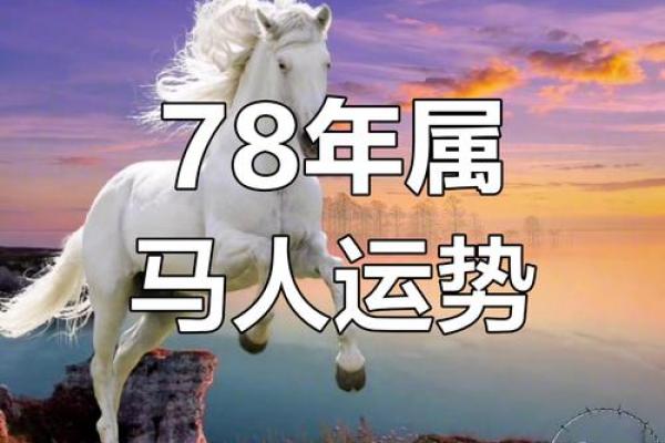 1978属马2025年运势_2025年属马1966年运势 1978属马2025年运势_2025年属马1966年运势