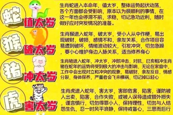 2025年羊年运势解析属羊人全年运程大揭秘