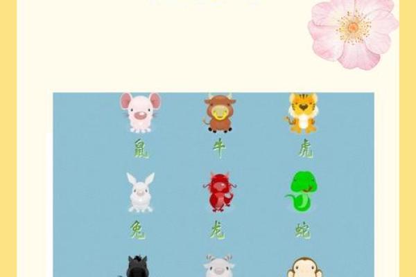 属兔2025年虚岁多大_2025年属兔人虚岁多大详细年龄计算指南 属兔2025年虚岁多大_2025年属兔人虚岁多大详细年龄计算指南