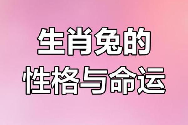 99年属兔女最佳婚配属相_99年属兔女最佳婚配属相解析命中注定的幸福伴侣 99年属兔女最佳婚配属相_99年属兔女最佳婚配属相解析命中注定的幸福伴侣