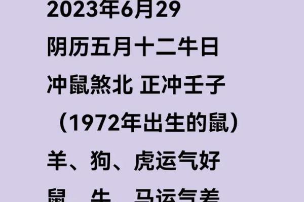 壬子鼠2025年运势大全 壬子鼠2025年运势大全