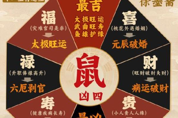壬子鼠2025年运势大全 壬子鼠2025年运势大全