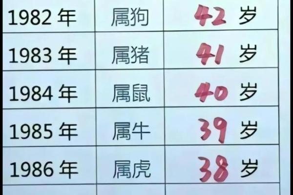 属龙的几月出生好