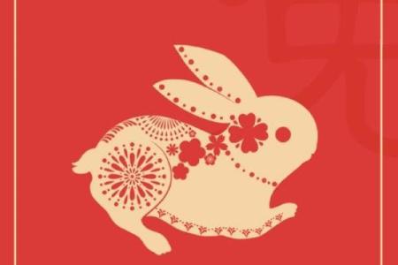 2025年1987年属兔人全年运势完整版 2025年属兔人全年运势详解1987年出生者必看