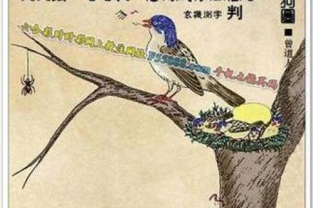 厉兵秣马猜一生肖