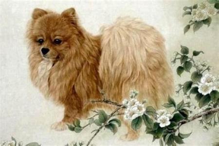 1970年属狗女2025年运势及运程_1970年属狗女2025年运势详解运程走向与关键转折点