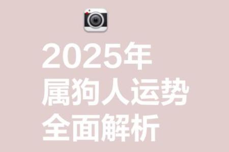 2025年属狗运势解析1982年出生者运程全揭秘