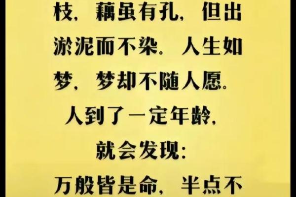 水火无情打一生肖(水火无情打一生肖) 水火无情打一生肖(水火无情打一生肖)