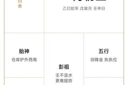 2025年4月13日戌时女命紫微斗数全解盘