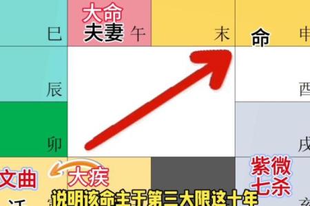 2025年4月28日丑时女命紫微斗数全解盘