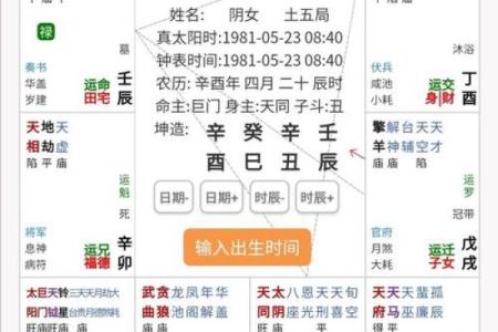 2025年4月14日辰时女命紫微斗数全解盘